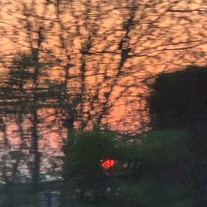 男的操女的的视频的日本动漫
